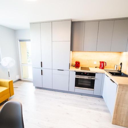 Apartament Piano Centrum Racibórz Εξωτερικό φωτογραφία
